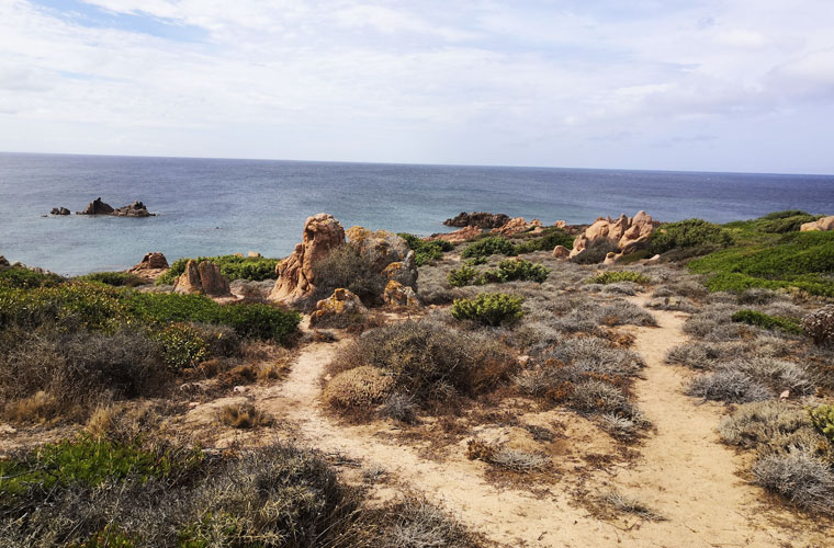 Es gibt mehrere Wanderwege, auf denen Sie die nahe gelegenen Buchten zu Fuß erkunden können. Cala Sarraina hat eine bequeme und gemütliche Strandbar und das Restaurant La Cala befindet sich etwa hundert Meter die Straße runter.